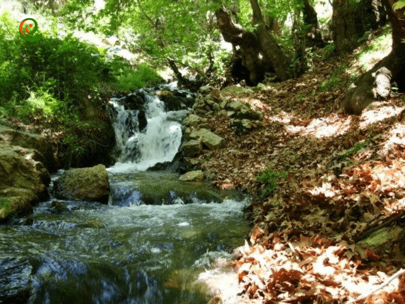 درباره آبشار طسوج یکی از آبشارهای زیبای منطقه کهگیلویه و بویر احمد در دکوول بخوانسد.